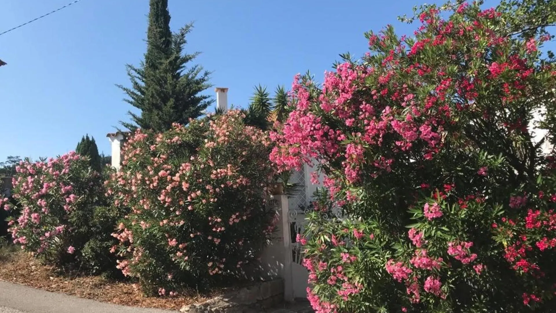 Peaceful Retreat With Stunning Sea View Private Terrace & Garden Apartment Le Lavandou